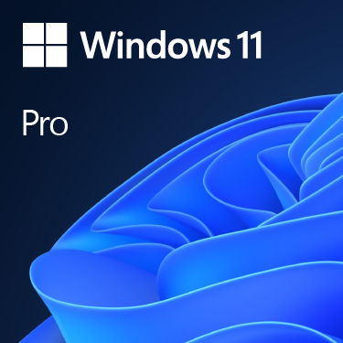 Windows 10/11 Pro USB Installation Drive with Product Key